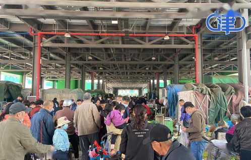 何莊子批發市場 海鮮水產與服裝服飾雙輪驅動，人氣火爆